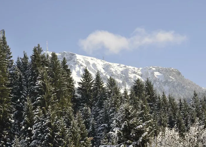 Mit Dachterrasse 키츠부헬